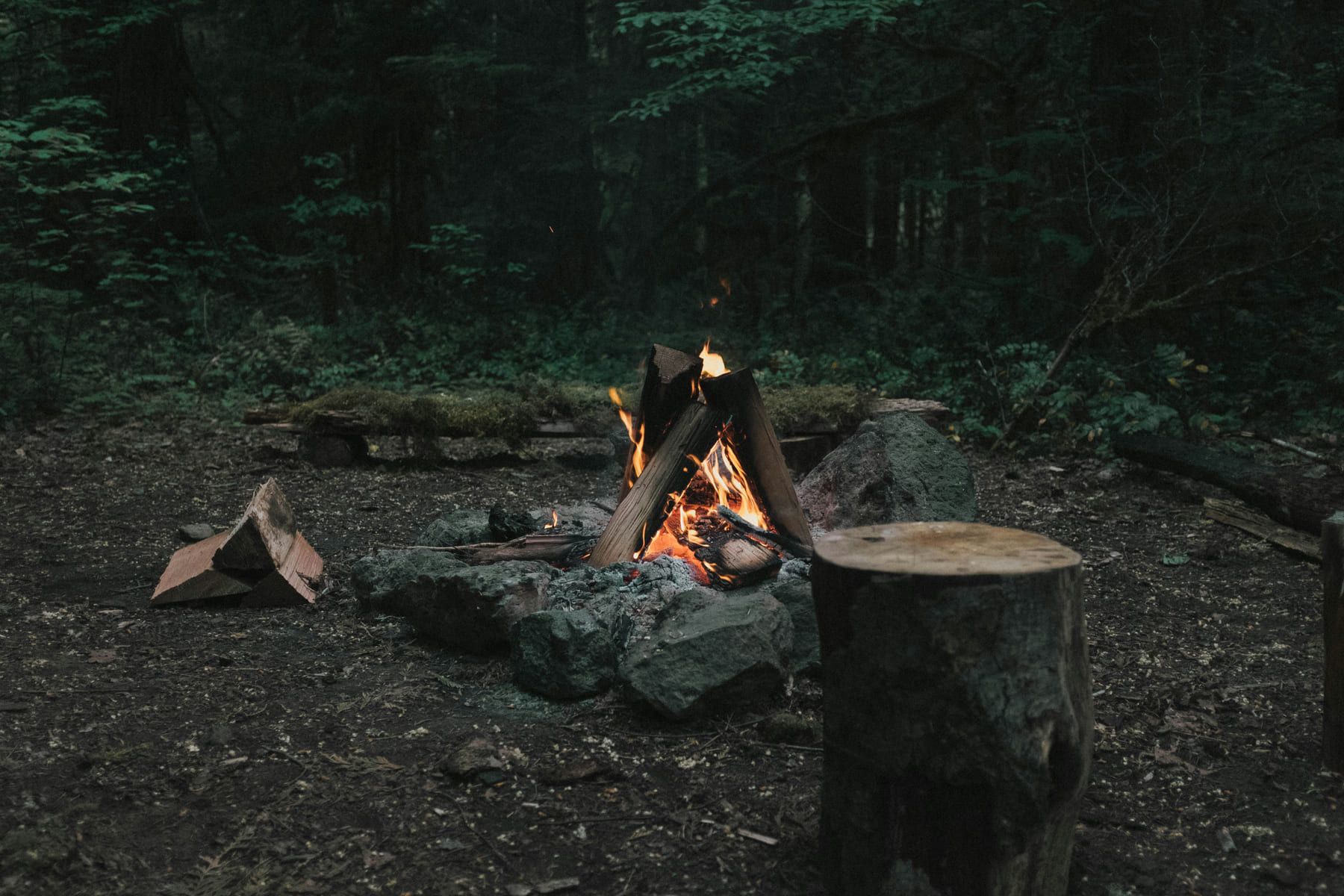 Kampvuur in een donker bos