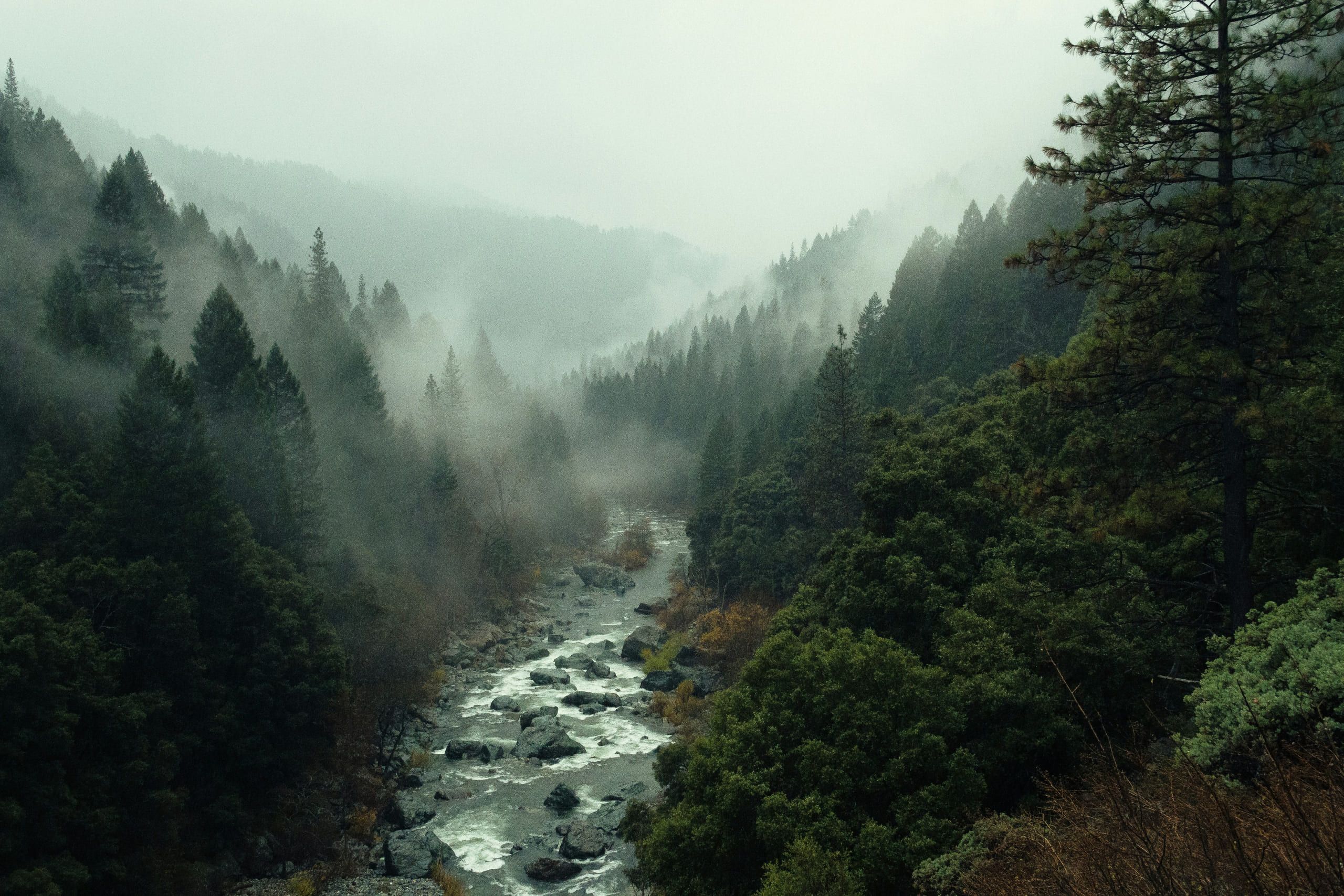 Riviervallei in de mist